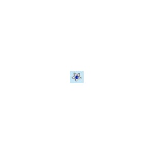 white gold -star- with crystal blue