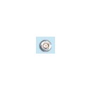 white gold -circle- with crystal white