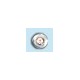 white gold -circle- with crystal white