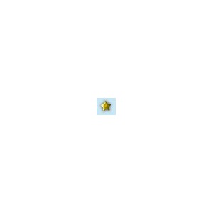 18K gold -star-