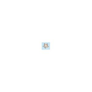 18K gold -star- with crystal white