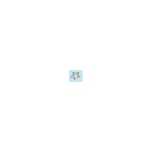 white gold -star- with crystal white